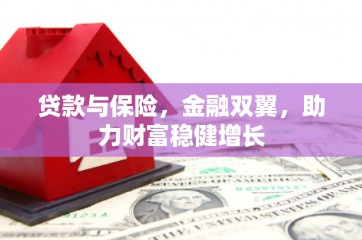 东至贷款与保险，金融双翼，助力财富稳健增长