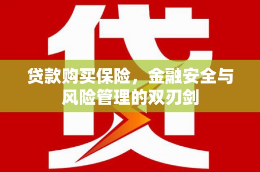 东至贷款购买保险，金融安全与风险管理的双刃剑