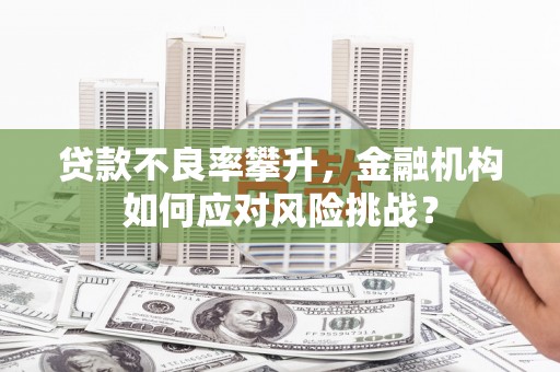 东至贷款不良率攀升，金融机构如何应对风险挑战？