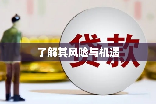 东至了解其风险与机遇
