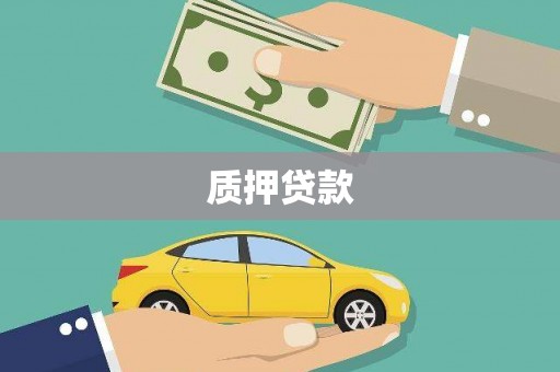 东至质押贷款