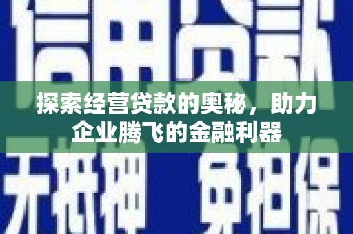 东至探索经营贷款的奥秘，助力企业腾飞的金融利器