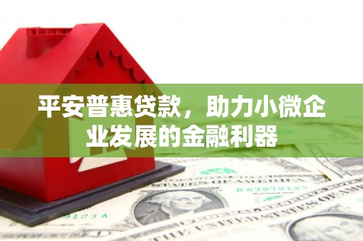 东至平安普惠贷款，助力小微企业发展的金融利器