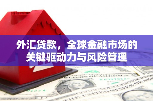 东至外汇贷款，全球金融市场的关键驱动力与风险管理