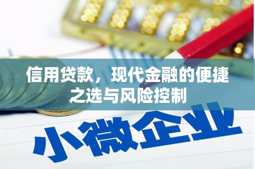 东至信用贷款，现代金融的便捷之选与风险控制