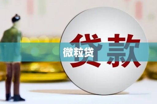 东至微粒贷
