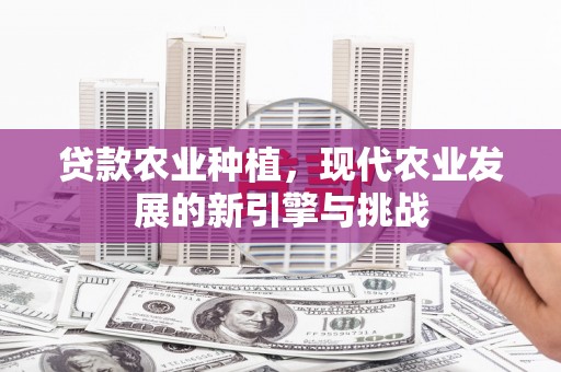 东至贷款农业种植，现代农业发展的新引擎与挑战