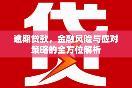 东至逾期贷款，金融风险与应对策略的全方位解析