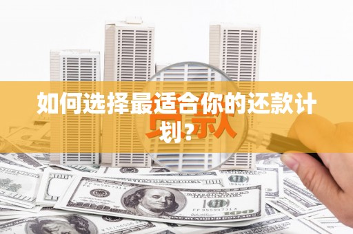 东至如何选择最适合你的还款计划？