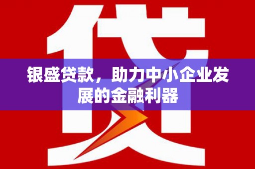 东至银盛贷款，助力中小企业发展的金融利器
