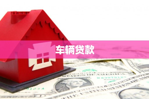 东至车辆贷款