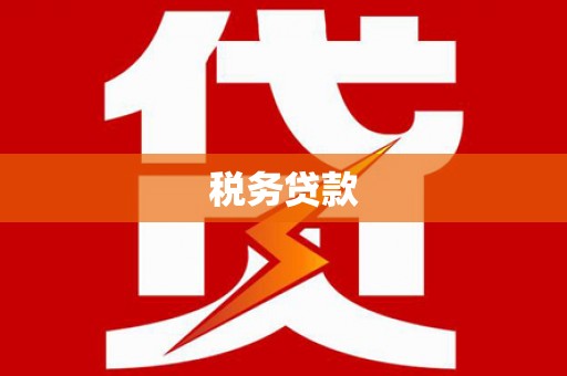 东至税务贷款