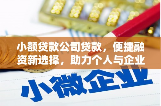 东至小额贷款公司贷款，便捷融资新选择，助力个人与企业成长