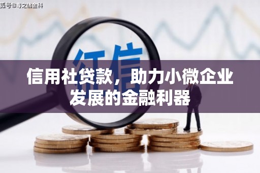 东至信用社贷款，助力小微企业发展的金融利器