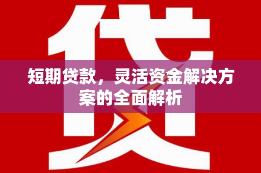 东至短期贷款，灵活资金解决方案的全面解析