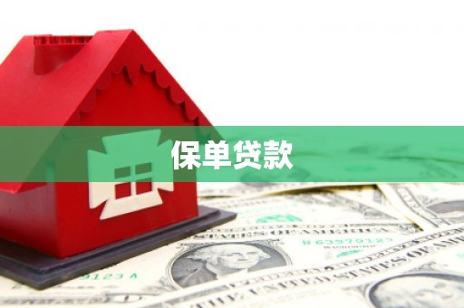 东至保单贷款