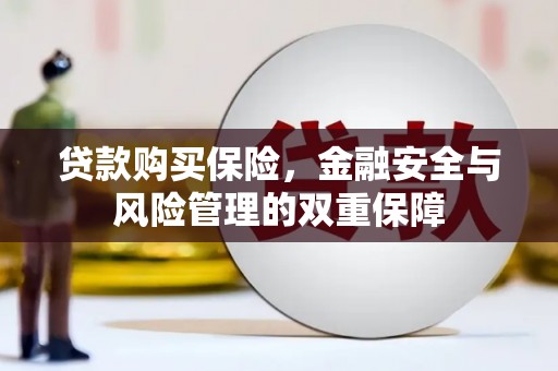 东至贷款购买保险，金融安全与风险管理的双重保障