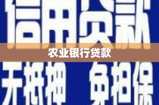 东至农业银行贷款