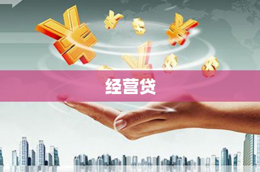 东至经营贷