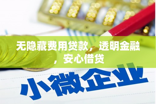 东至无隐藏费用贷款，透明金融，安心借贷