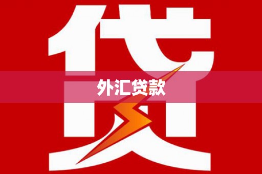 东至外汇贷款
