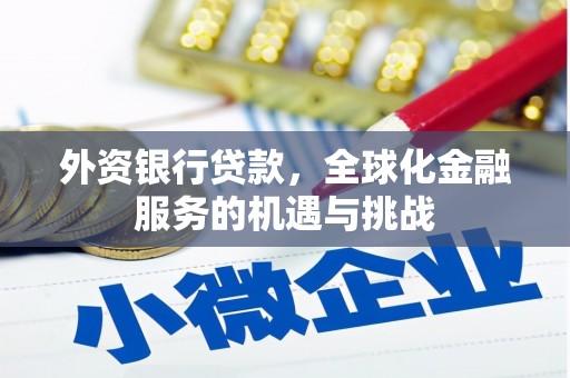 东至外资银行贷款，全球化金融服务的机遇与挑战
