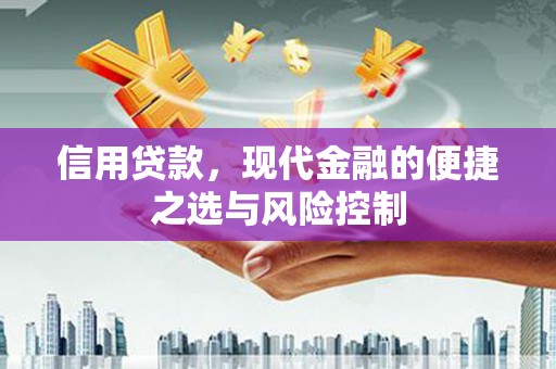 东至信用贷款，现代金融的便捷之选与风险控制