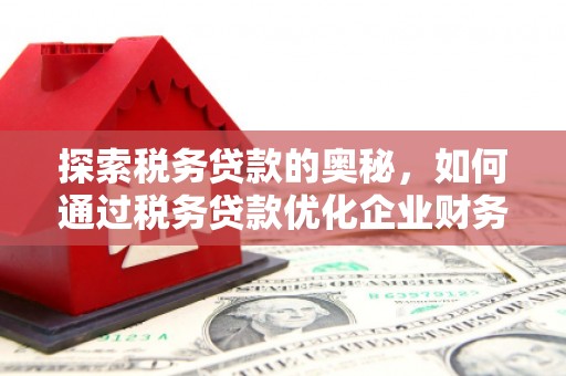 东至探索税务贷款的奥秘，如何通过税务贷款优化企业财务