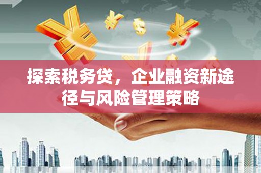 东至探索税务贷，企业融资新途径与风险管理策略