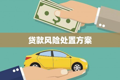 东至贷款风险处置方案