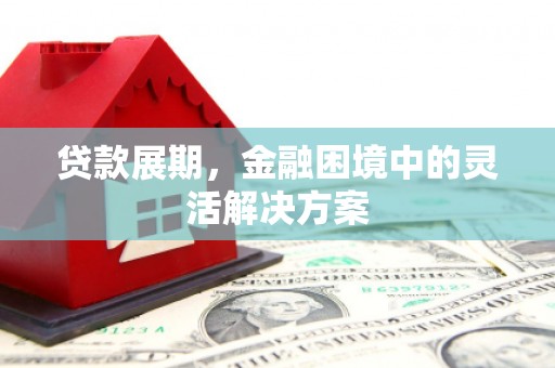 东至贷款展期，金融困境中的灵活解决方案