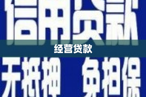 东至经营贷款
