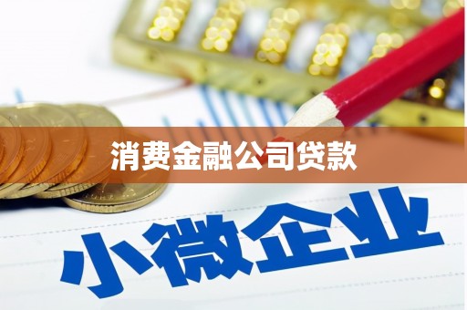 东至消费金融公司贷款