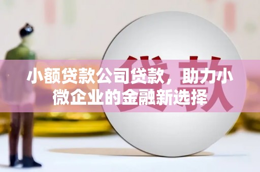 东至小额贷款公司贷款，助力小微企业的金融新选择