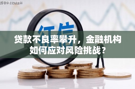 东至贷款不良率攀升，金融机构如何应对风险挑战？