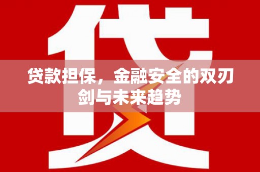 东至贷款担保，金融安全的双刃剑与未来趋势