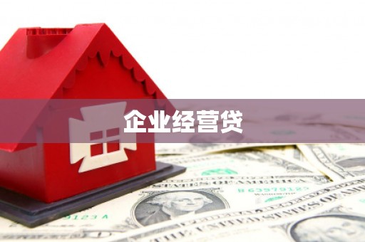 东至企业经营贷