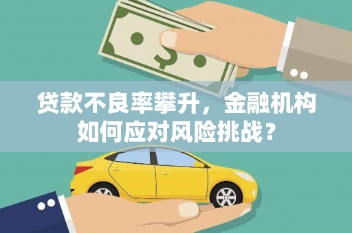 东至贷款不良率攀升，金融机构如何应对风险挑战？