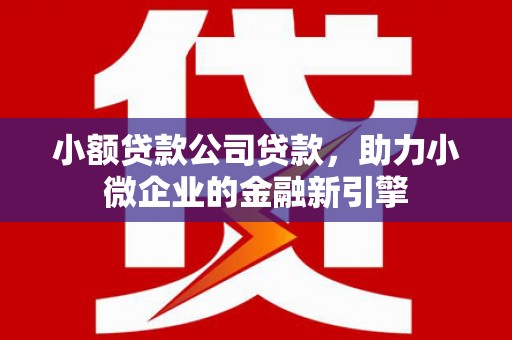 东至小额贷款公司贷款，助力小微企业的金融新引擎