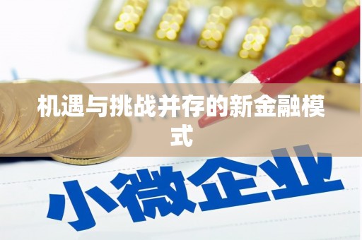 东至机遇与挑战并存的新金融模式