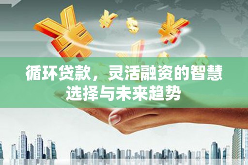 东至循环贷款，灵活融资的智慧选择与未来趋势