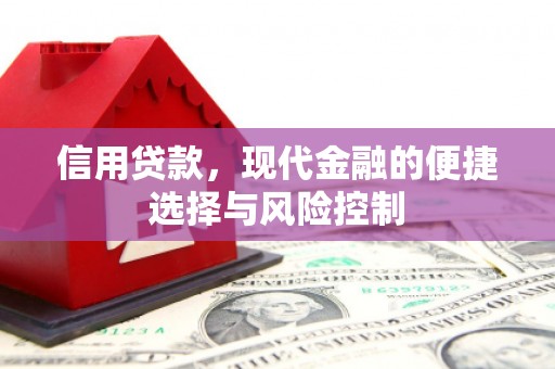 东至信用贷款，现代金融的便捷选择与风险控制