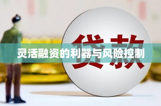 东至灵活融资的利器与风险控制
