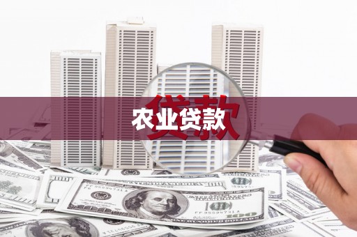 东至农业贷款