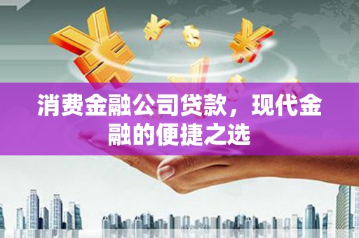 东至消费金融公司贷款，现代金融的便捷之选