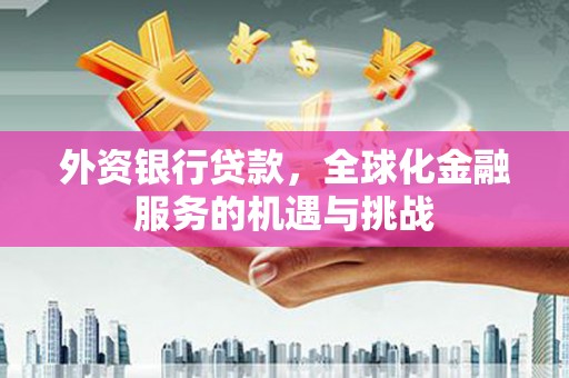 东至外资银行贷款，全球化金融服务的机遇与挑战