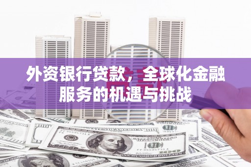 东至外资银行贷款，全球化金融服务的机遇与挑战