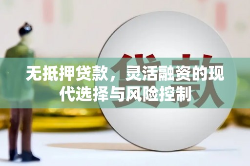 东至无抵押贷款，灵活融资的现代选择与风险控制