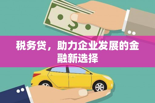东至税务贷，助力企业发展的金融新选择