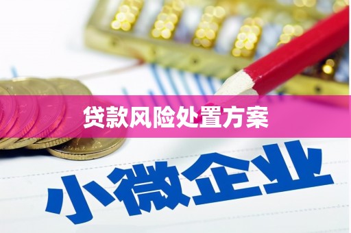 东至贷款风险处置方案
